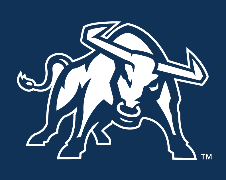 Utah State Aggies 2012-Pres Alternate Logo v2 diy fabric transfer